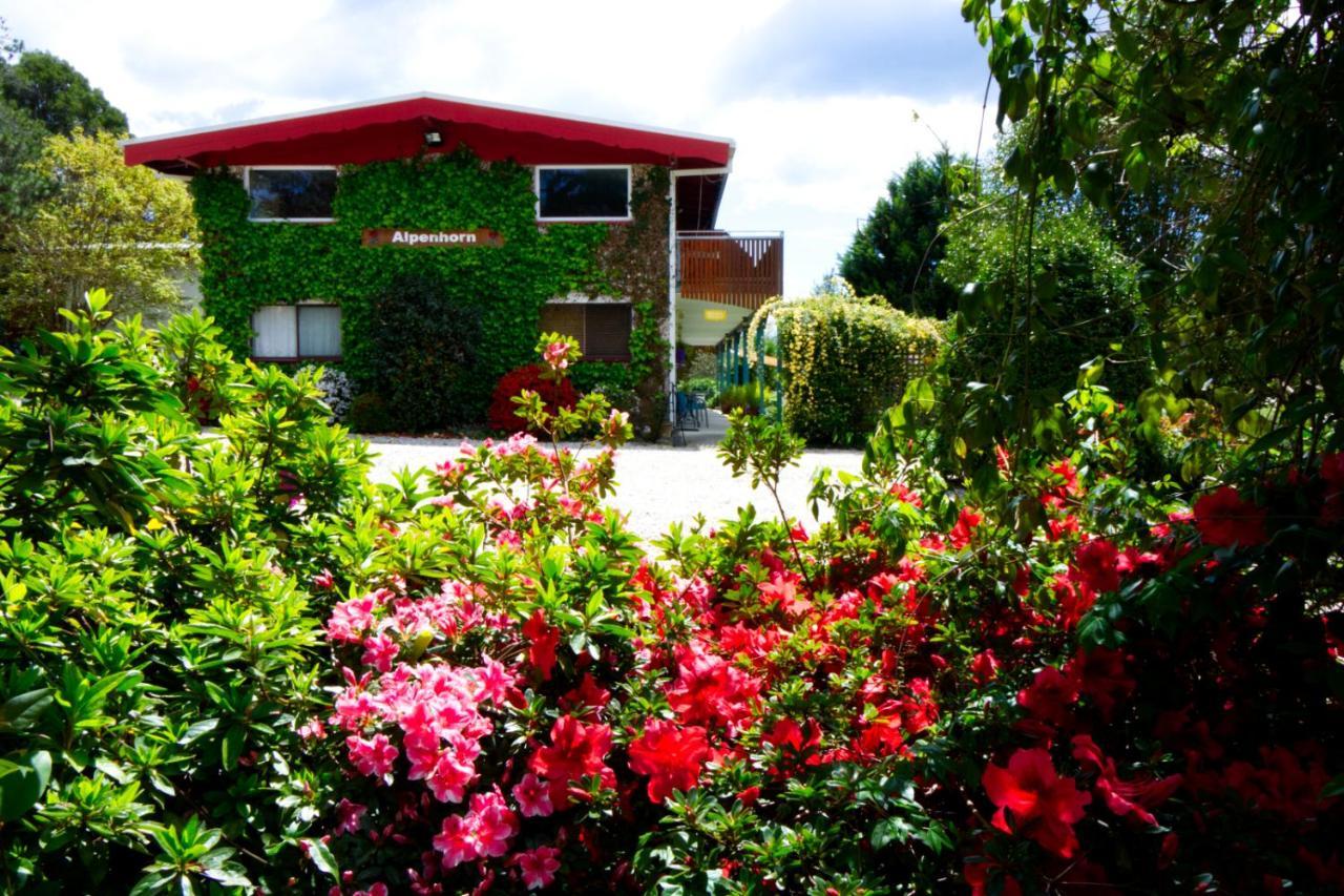 Alpenhorn Holiday Units Mount Beauty Exterior photo