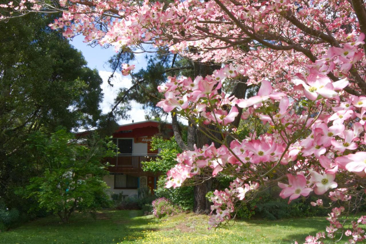Alpenhorn Holiday Units Mount Beauty Exterior photo