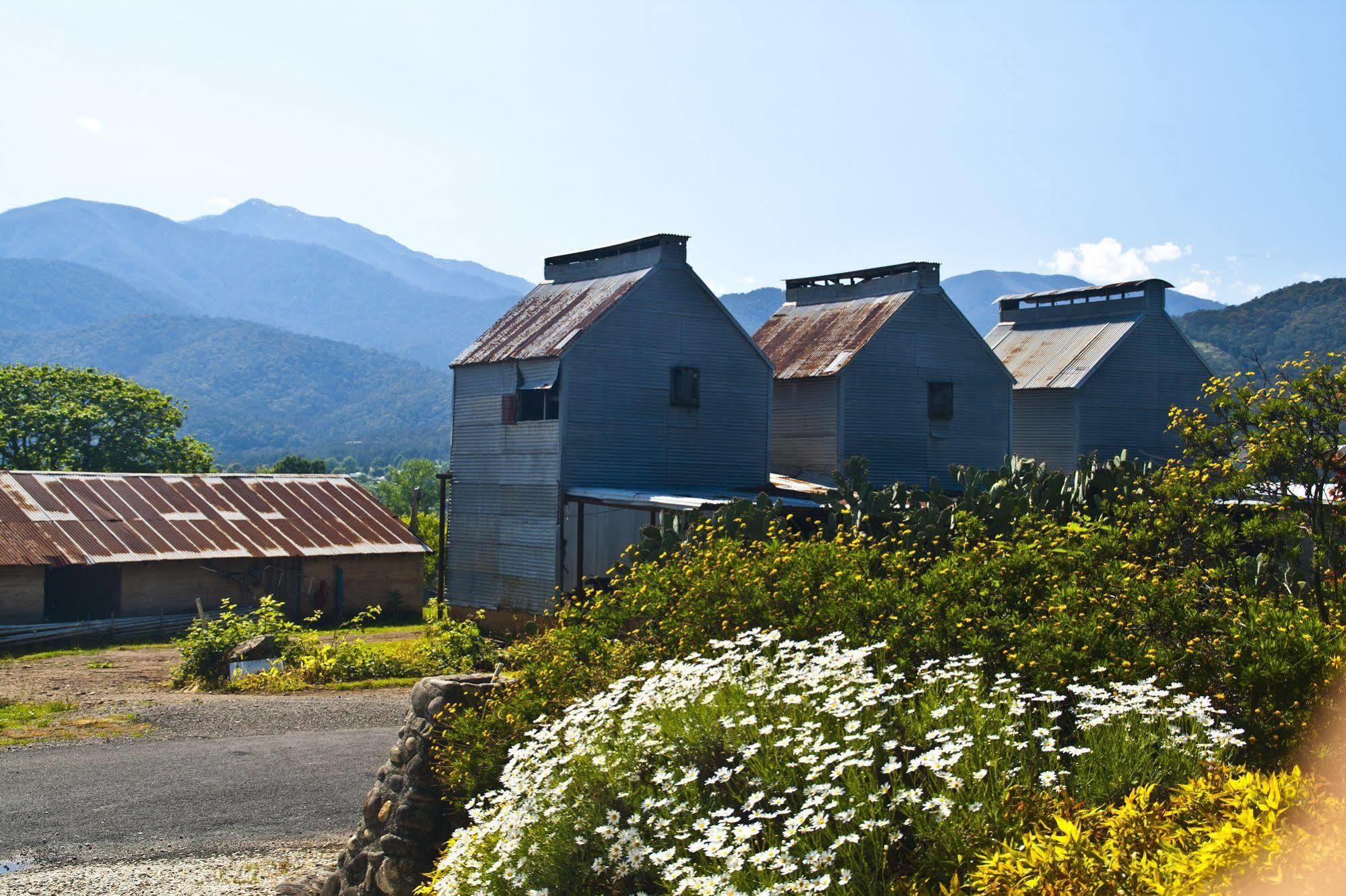 Alpenhorn Holiday Units Mount Beauty Exterior photo